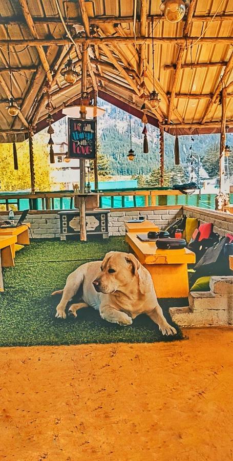 The Culture Nation Hostel Manali Buitenkant foto